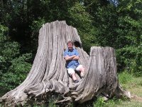 Michael Gray on an old Cedar Stump in Idaho